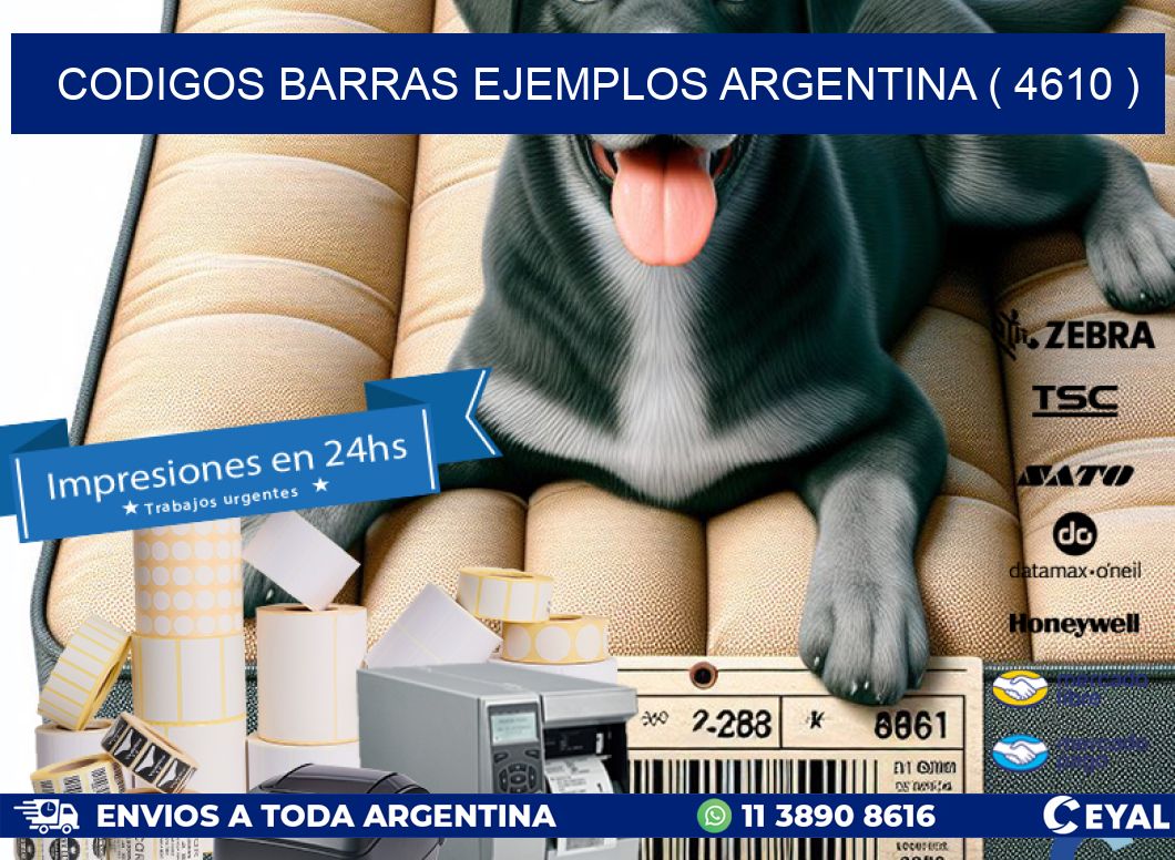 codigos barras ejemplos argentina ( 4610 )