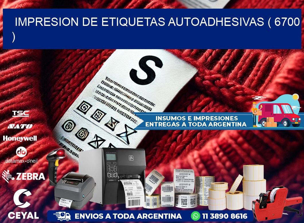 IMPRESION DE ETIQUETAS AUTOADHESIVAS ( 6700 )