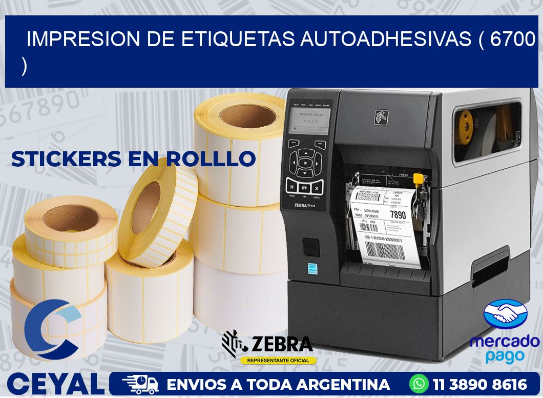 IMPRESION DE ETIQUETAS AUTOADHESIVAS ( 6700 )