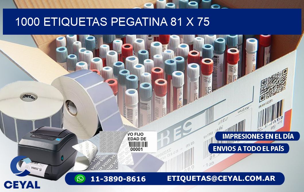 1000 ETIQUETAS PEGATINA 81 x 75