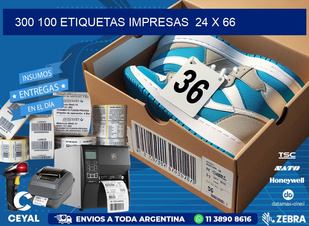 300 100 ETIQUETAS IMPRESAS  24 x 66