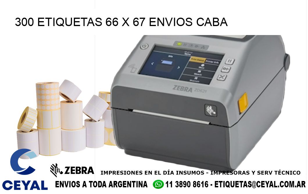 300 ETIQUETAS 66 x 67 ENVIOS CABA