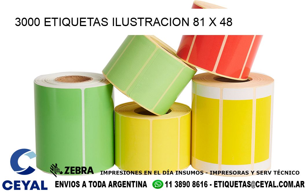 3000 ETIQUETAS ILUSTRACION 81 x 48