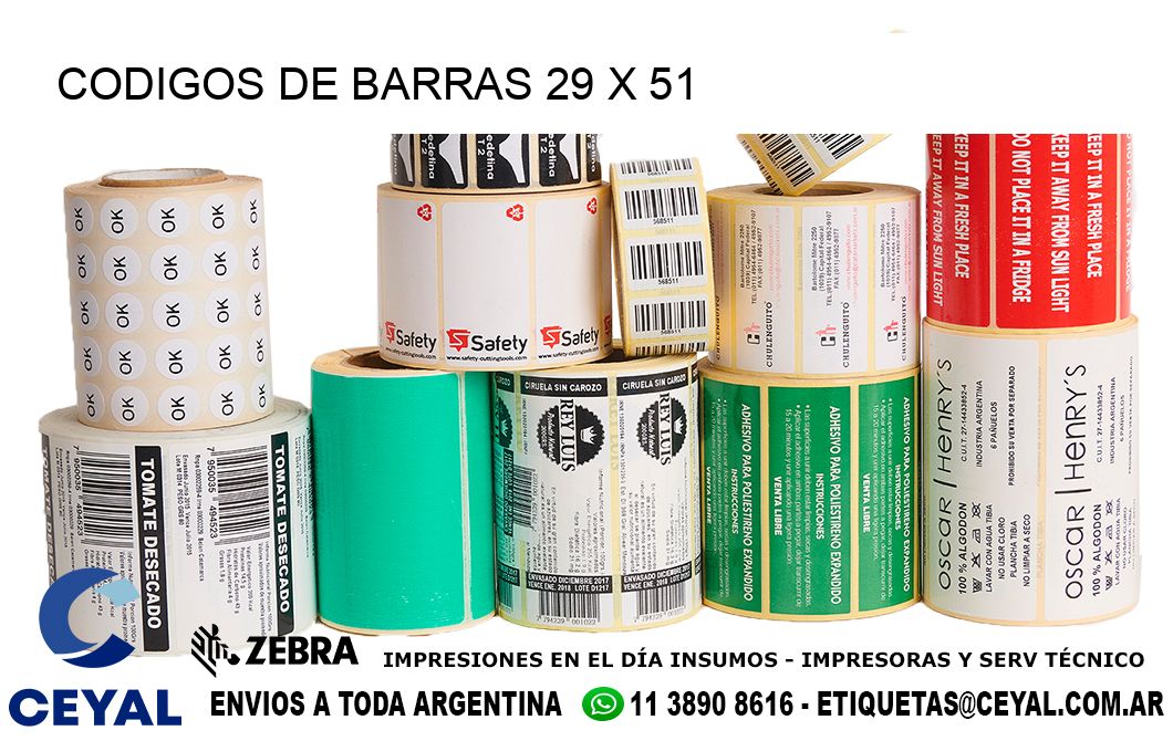 CODIGOS DE BARRAS 29 x 51