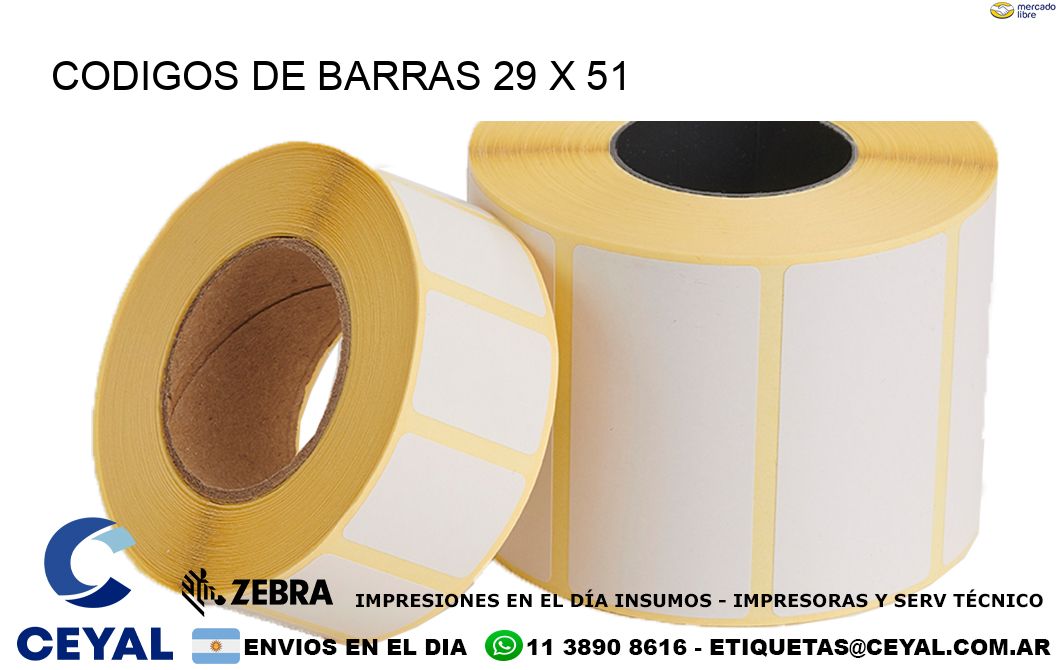 CODIGOS DE BARRAS 29 x 51