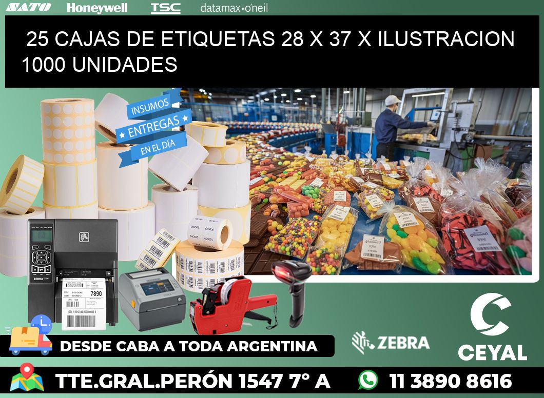 25 CAJAS DE ETIQUETAS 28 x 37 X ILUSTRACION 1000 UNIDADES