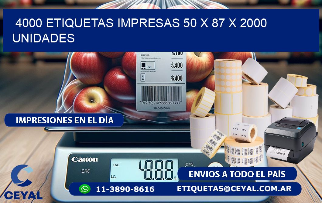 4000 ETIQUETAS IMPRESAS 50 x 87 X 2000 UNIDADES