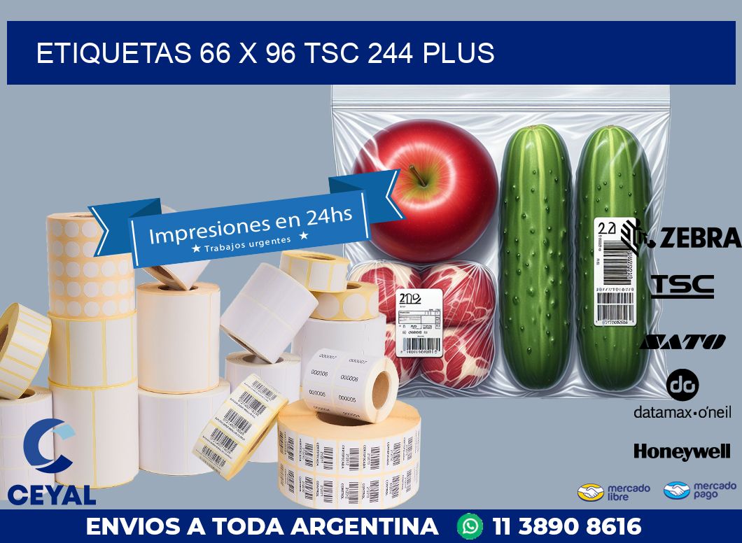 ETIQUETAS 66 x 96 TSC 244 PLUS