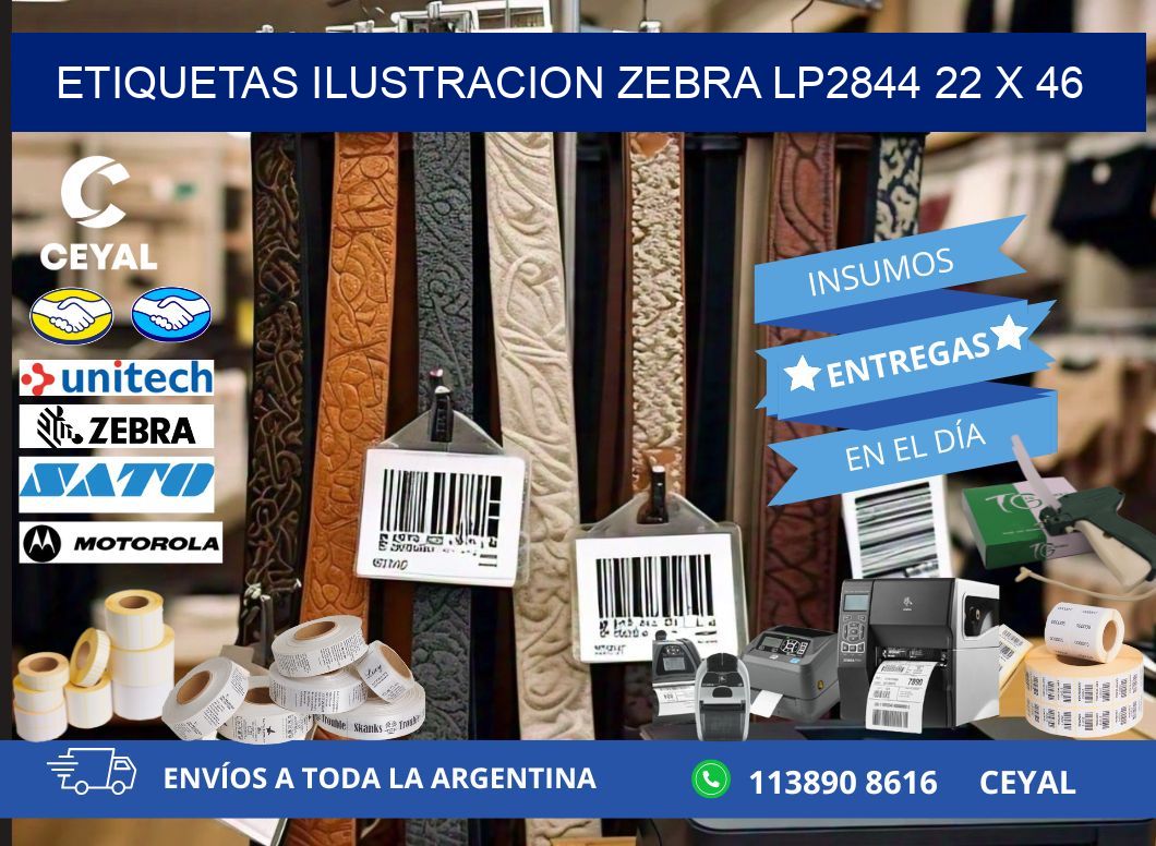 ETIQUETAS ILUSTRACION ZEBRA LP2844 22 x 46