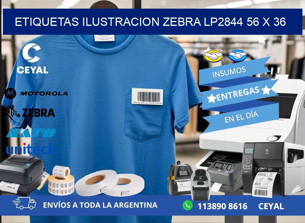 ETIQUETAS ILUSTRACION ZEBRA LP2844 56 x 36
