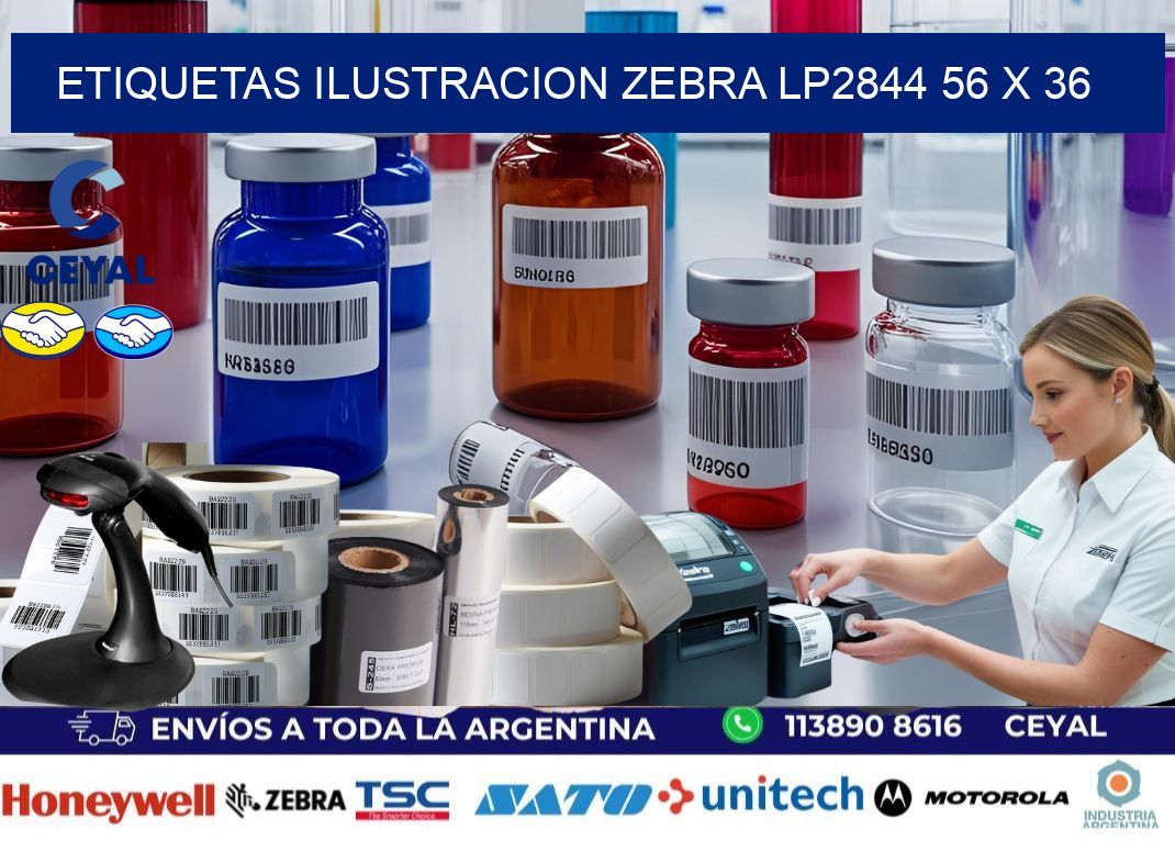 ETIQUETAS ILUSTRACION ZEBRA LP2844 56 x 36