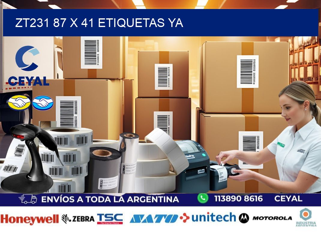 ZT231 87 x 41 ETIQUETAS YA