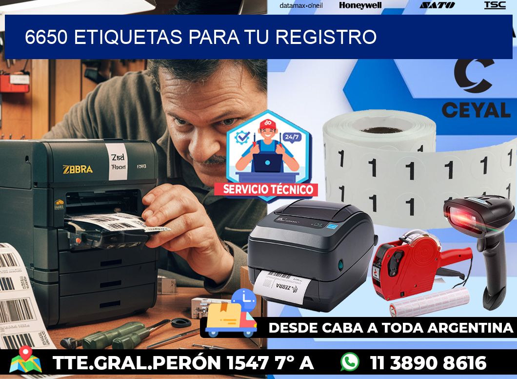 6650 etiquetas para tu registro