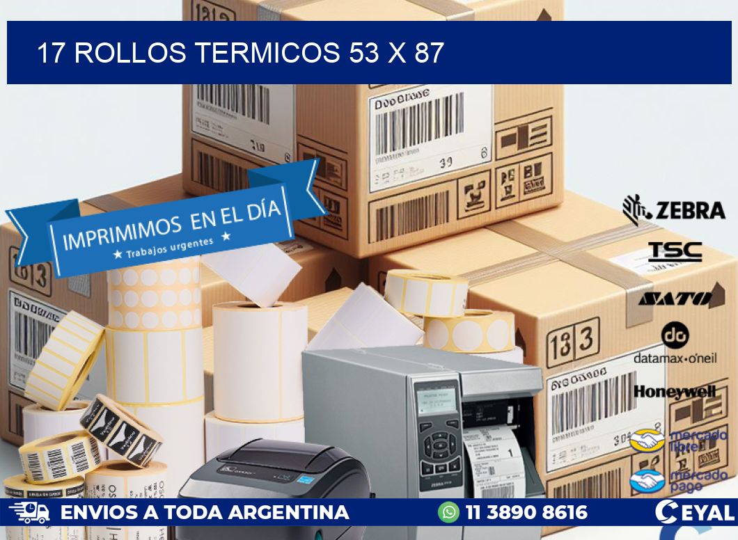 17 ROLLOS TERMICOS 53 x 87
