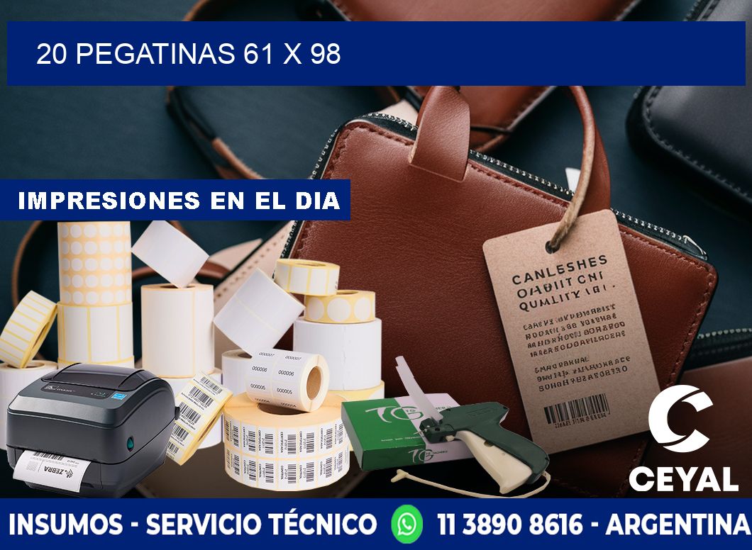 20 PEGATINAS 61 x 98