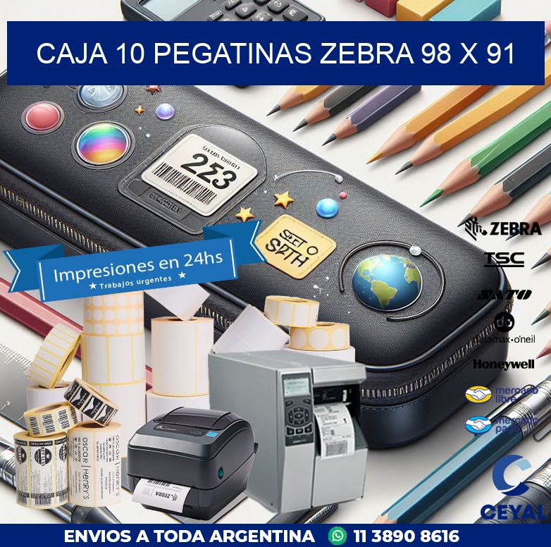 CAJA 10 PEGATINAS ZEBRA 98 x 91