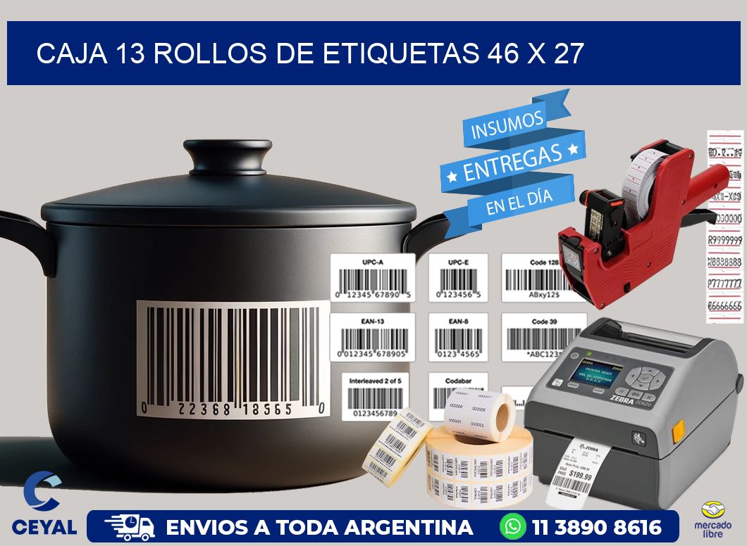 CAJA 13 ROLLOS DE ETIQUETAS 46 x 27