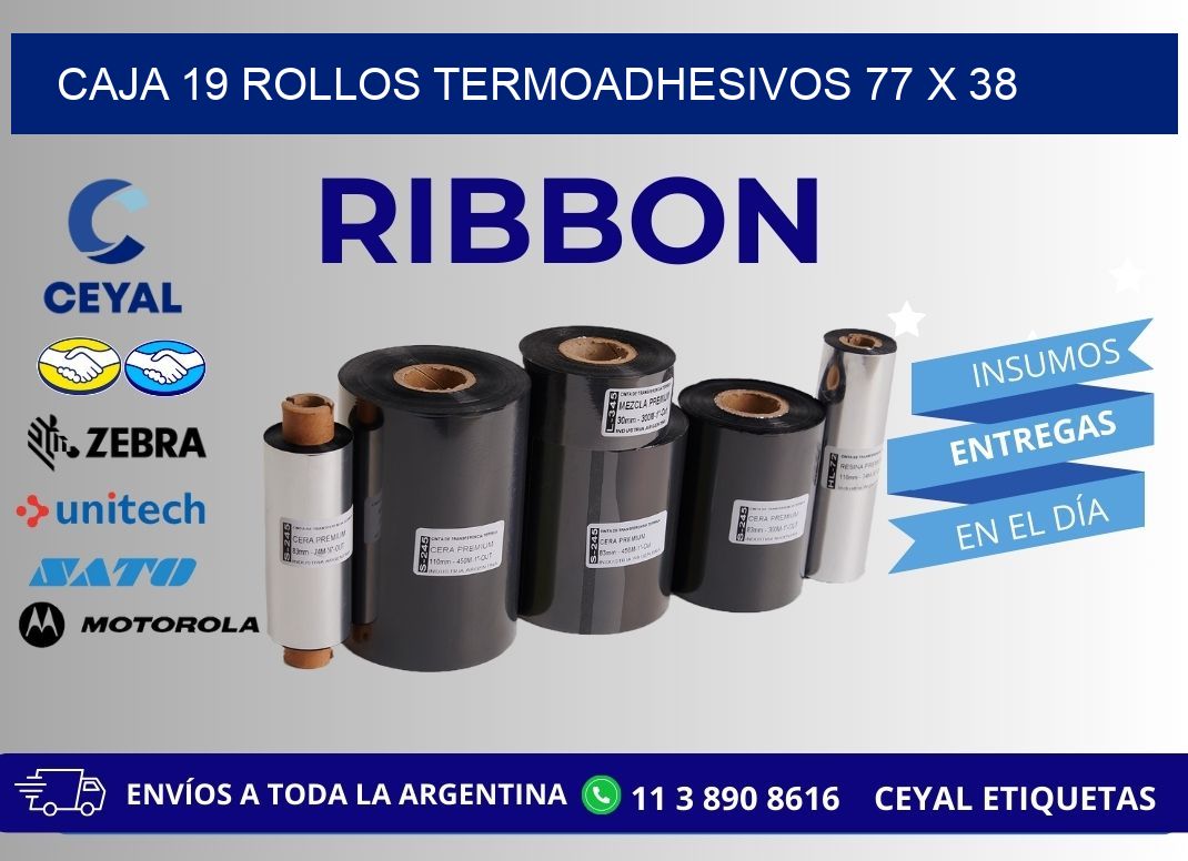CAJA 19 ROLLOS TERMOADHESIVOS 77 x 38