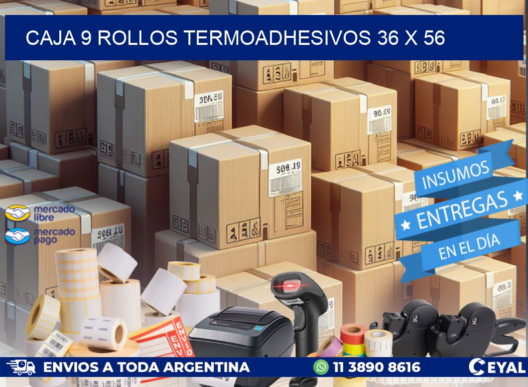 CAJA 9 ROLLOS TERMOADHESIVOS 36 x 56