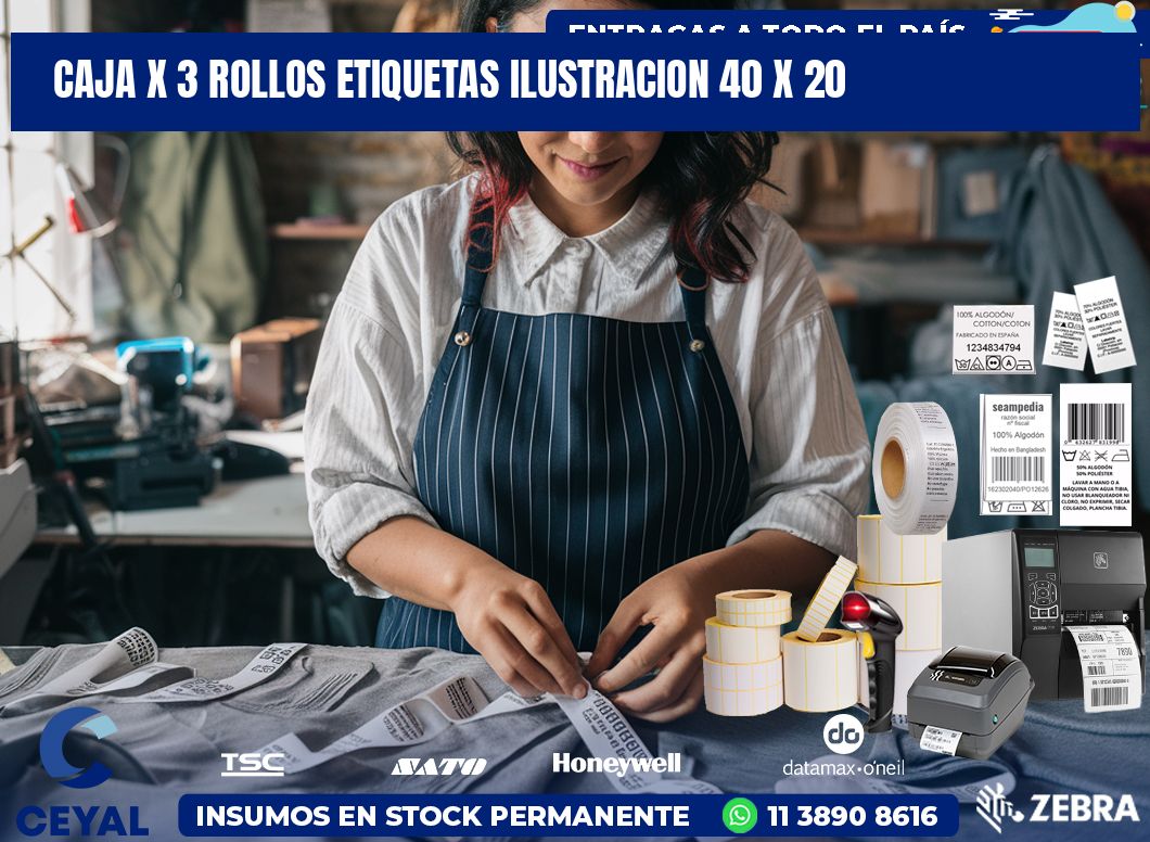 Caja X 3 Rollos Etiquetas Ilustracion 40 x 20