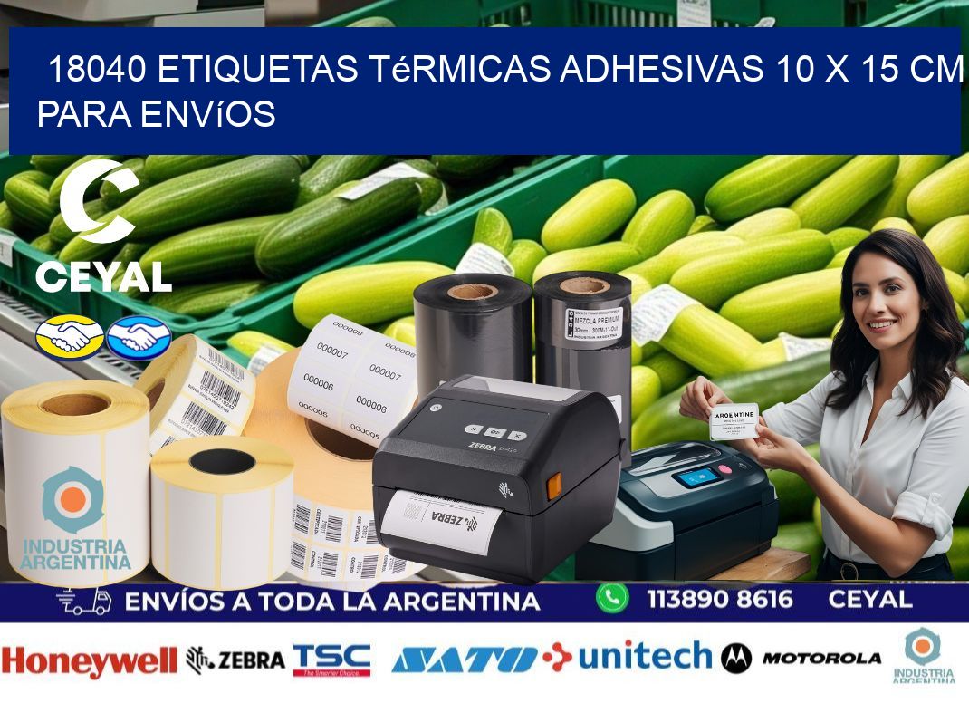 18040 Etiquetas Térmicas Adhesivas 10 x 15 cm para Envíos