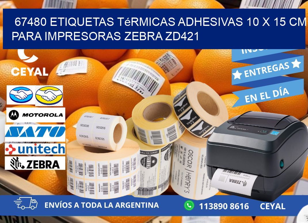 67480 Etiquetas Térmicas Adhesivas 10 x 15 cm para Impresoras Zebra ZD421