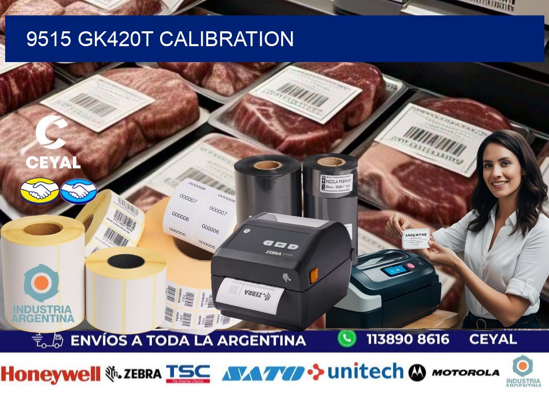 9515 GK420T Calibration
