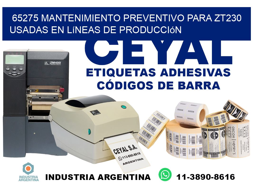 65275 mantenimiento preventivo para zt230 usadas en líneas de producción