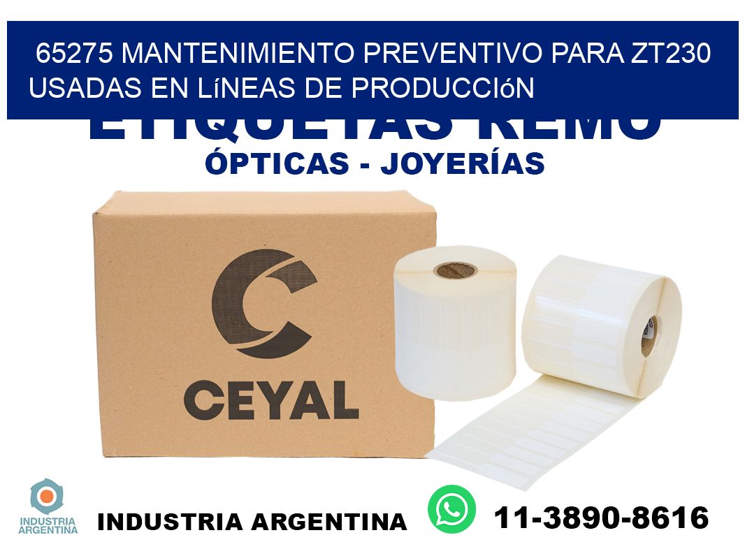 65275 mantenimiento preventivo para zt230 usadas en líneas de producción