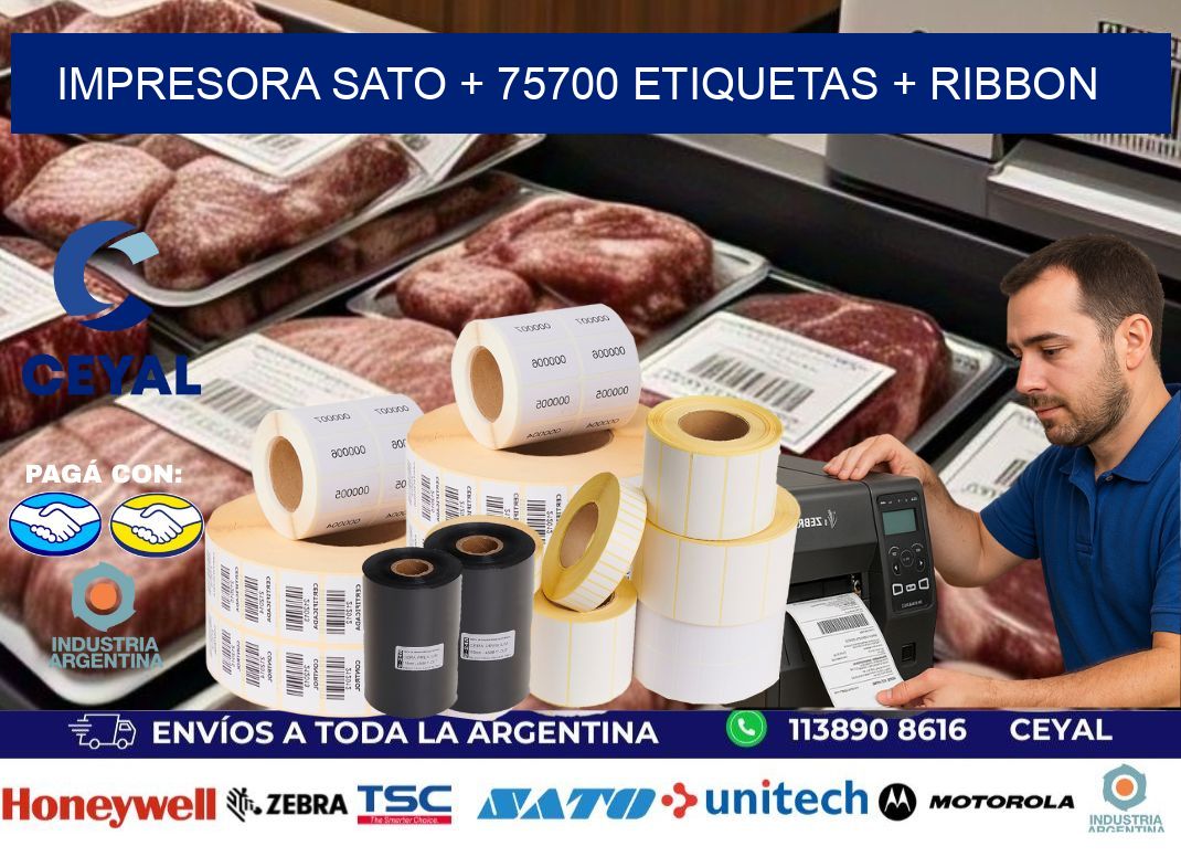 impresora SATO + 75700 etiquetas + ribbon
