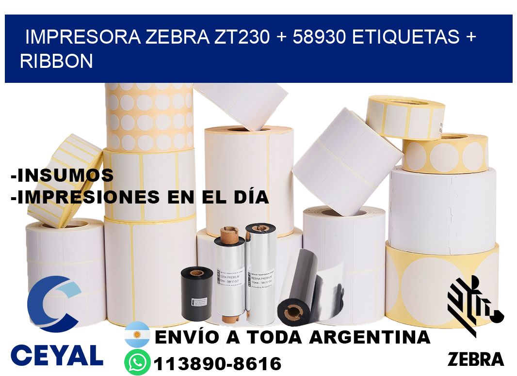 impresora zebra zt230 + 58930 etiquetas + ribbon