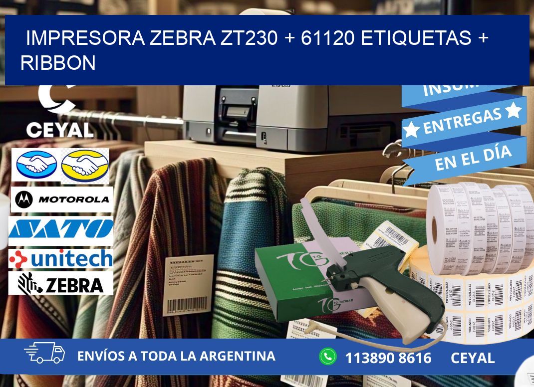 impresora zebra zt230 + 61120 etiquetas + ribbon