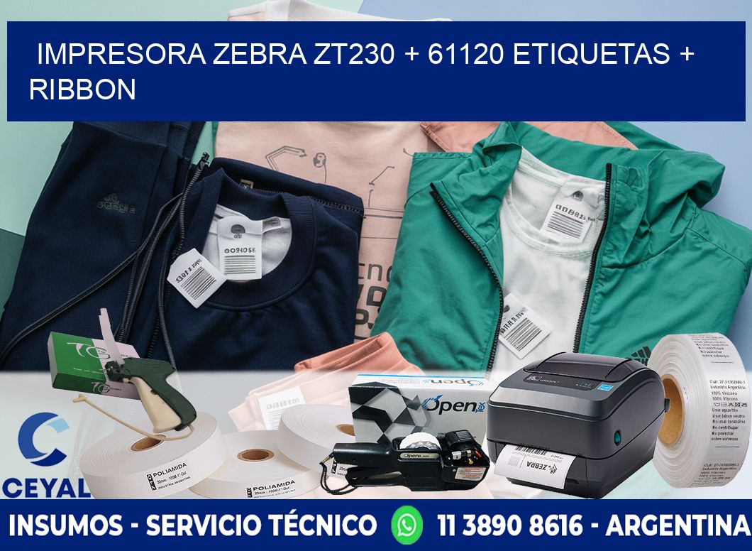 impresora zebra zt230 + 61120 etiquetas + ribbon