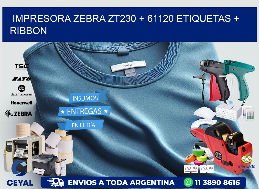 impresora zebra zt230 + 61120 etiquetas + ribbon