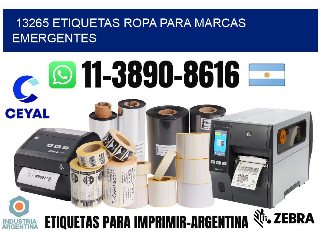 13265 Etiquetas ropa para marcas emergentes
