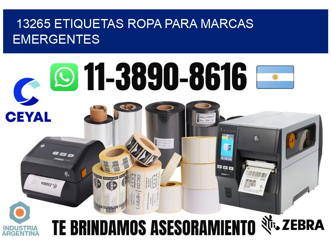 13265 Etiquetas ropa para marcas emergentes