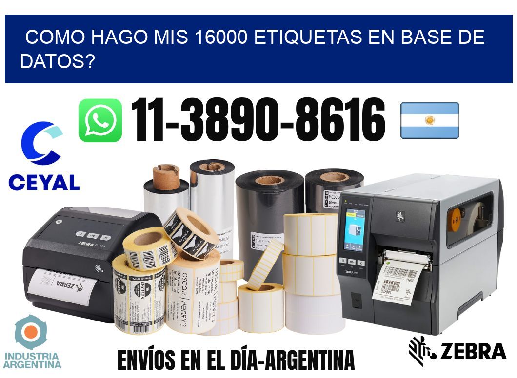 como hago mis 16000 etiquetas en base de datos?
