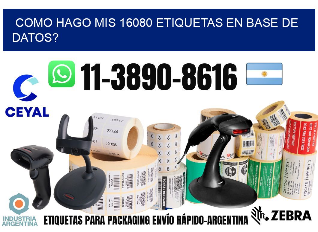 como hago mis 16080 etiquetas en base de datos?