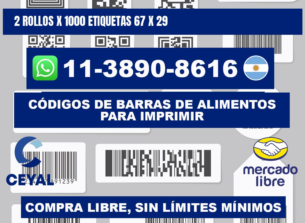 2 rollos x 1000 etiquetas 67 x 29