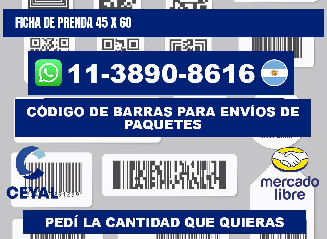Ficha de prenda 45 x 60