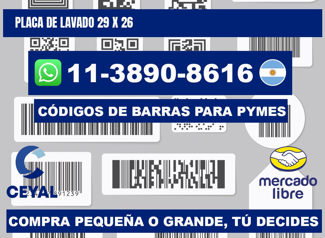 Placa de lavado 29 x 26