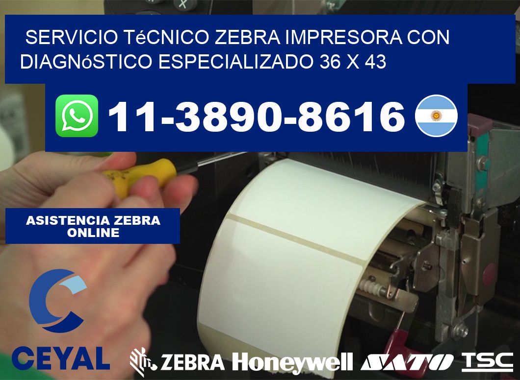 Servicio Técnico Zebra Impresora con Diagnóstico Especializado 36 x 43