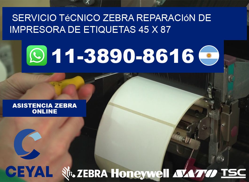 Servicio Técnico Zebra Reparación de Impresora de Etiquetas 45 x 87