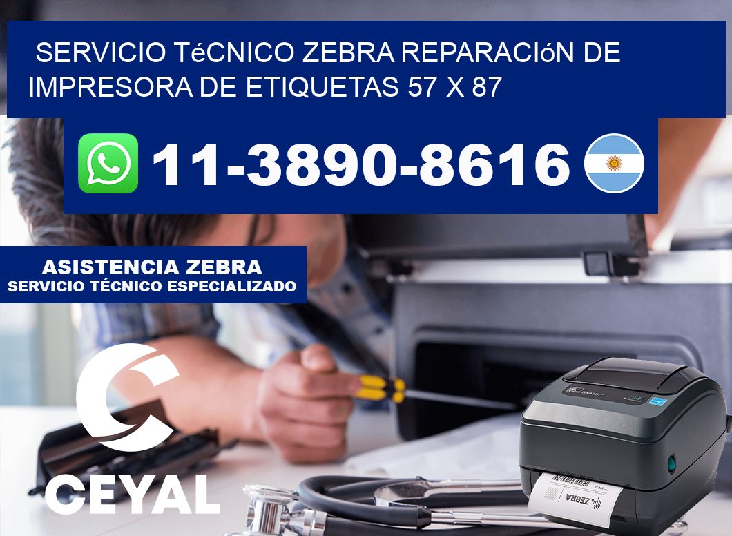 Servicio Técnico Zebra Reparación de Impresora de Etiquetas 57 x 87