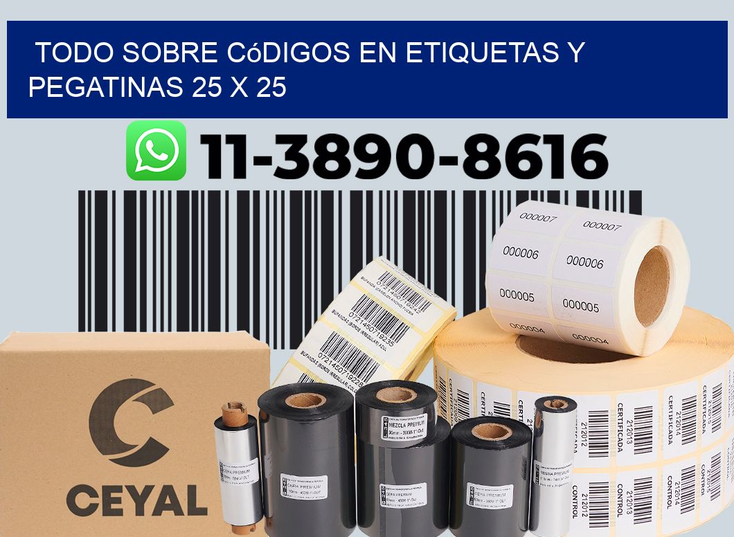 Todo sobre códigos en etiquetas y pegatinas 25 x 25