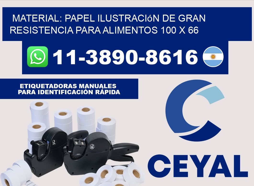 Material: papel ilustración de gran resistencia para alimentos 100 x 66
