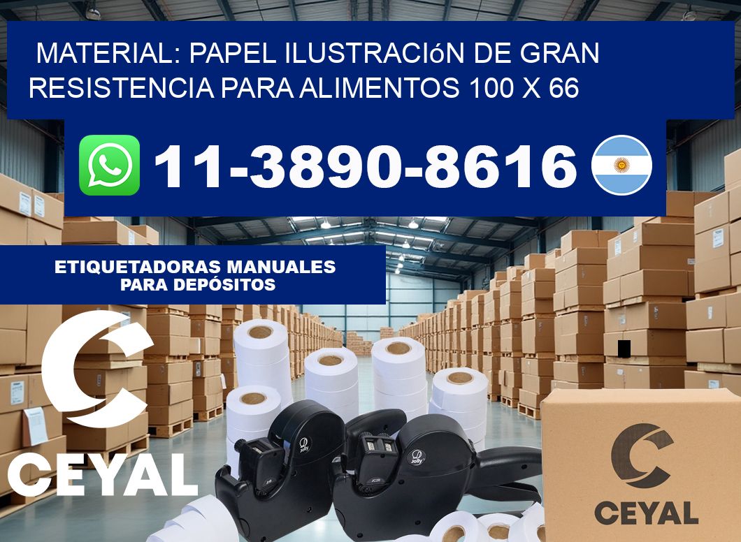 Material: papel ilustración de gran resistencia para alimentos 100 x 66