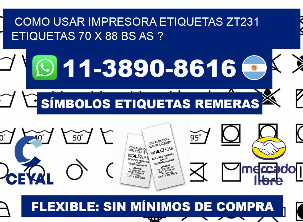 como usar impresora etiquetas zt231 etiquetas 70 x 88 BS AS ?