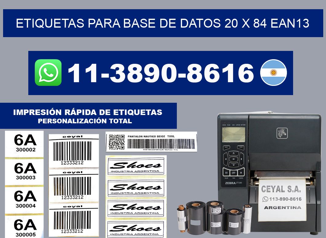etiquetas para base de datos 20 x 84 ean13