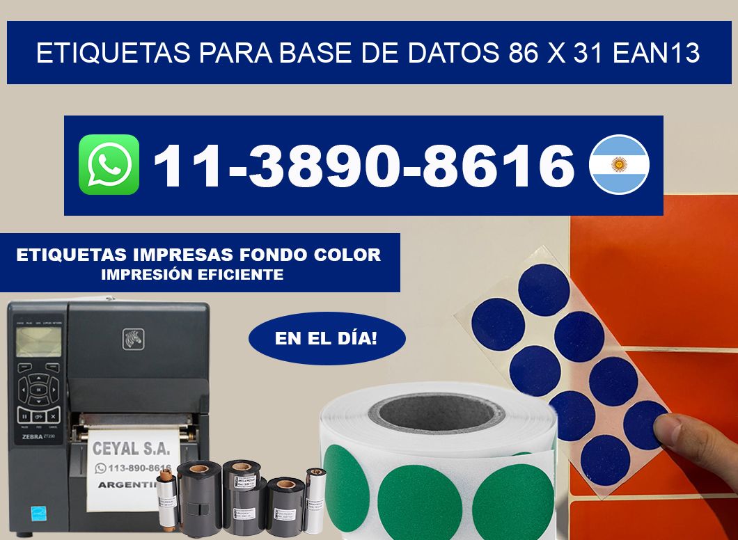 etiquetas para base de datos 86 x 31 ean13